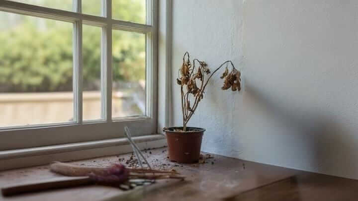 ÜÇ HECE, BİR CAN SUYU