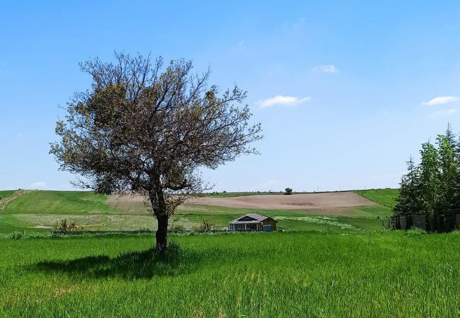 YENİ BAHAR ESİNTİSİ