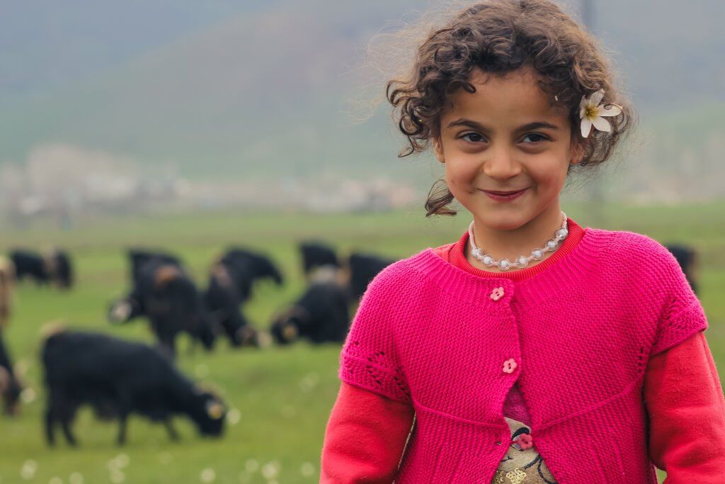 DEDEM